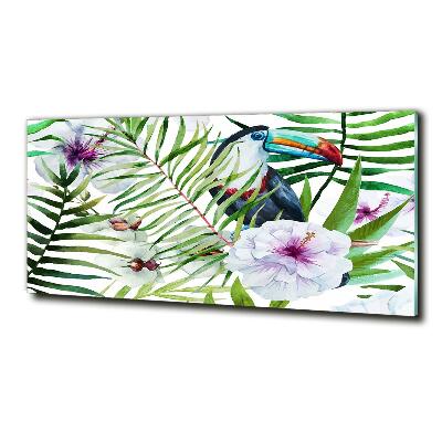 Glass picture wall art Tropics toucan