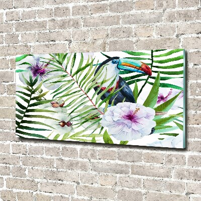 Glass picture wall art Tropics toucan