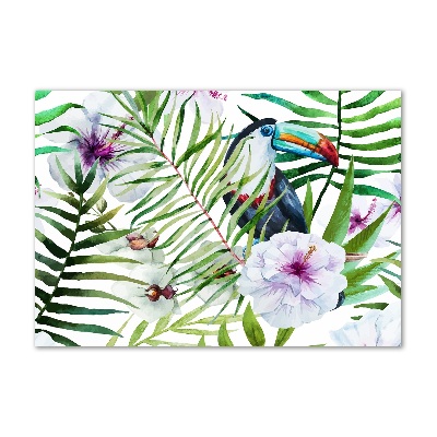 Glass picture wall art Tropics toucan