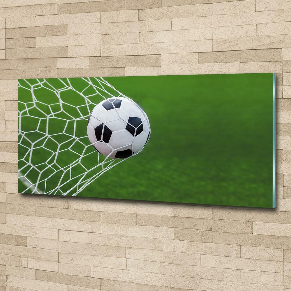 Wall art on glass Ball in the goal