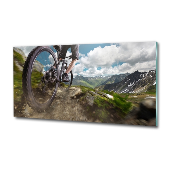 Wall art on glass Mountain biking