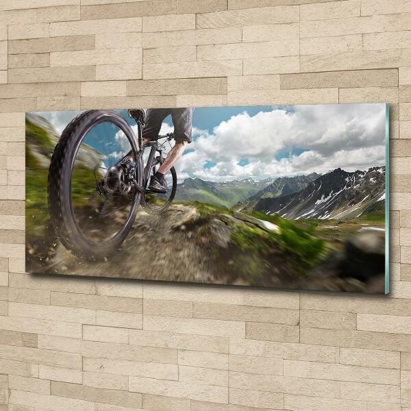 Wall art on glass Mountain biking