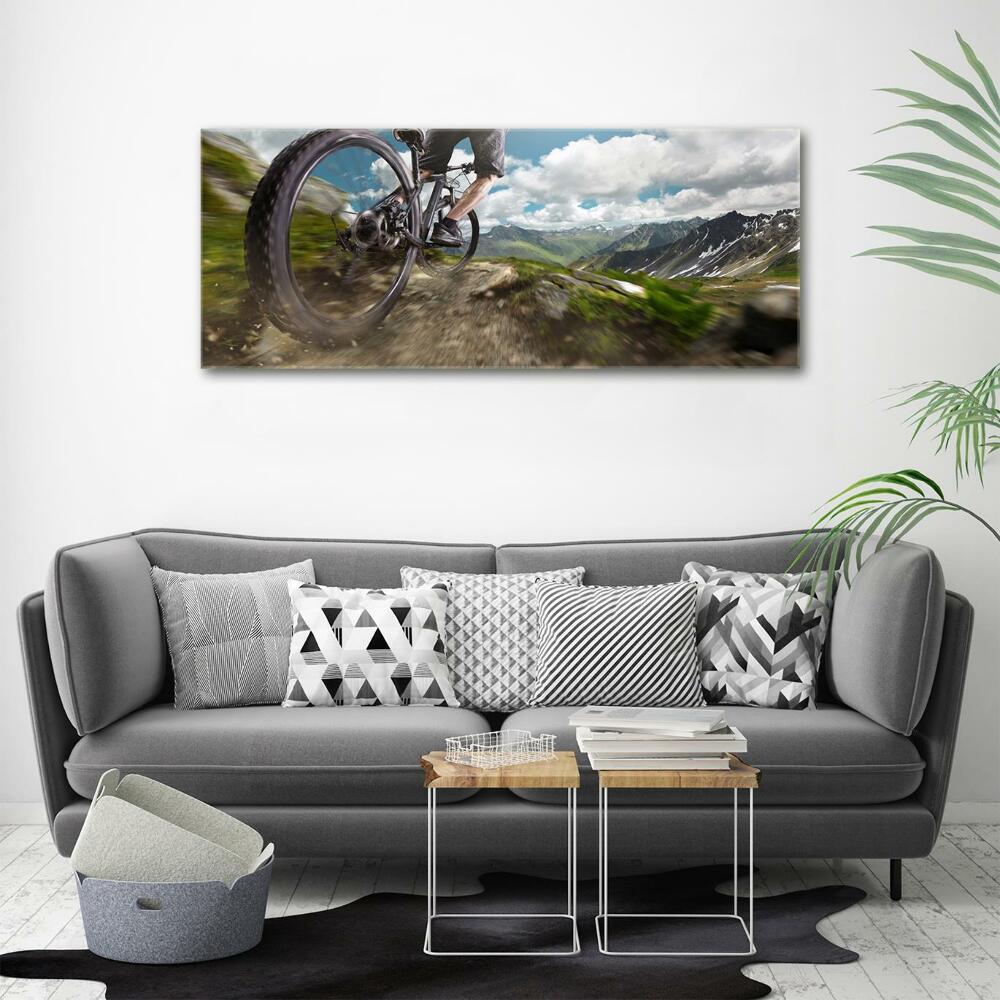 Wall art on glass Mountain biking