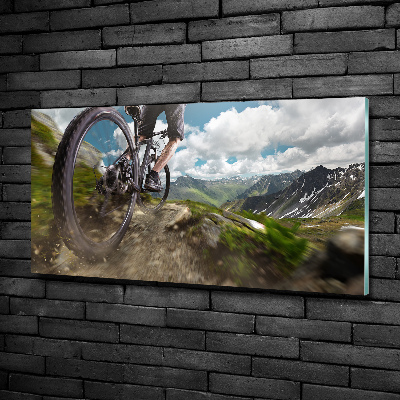 Wall art on glass Mountain biking