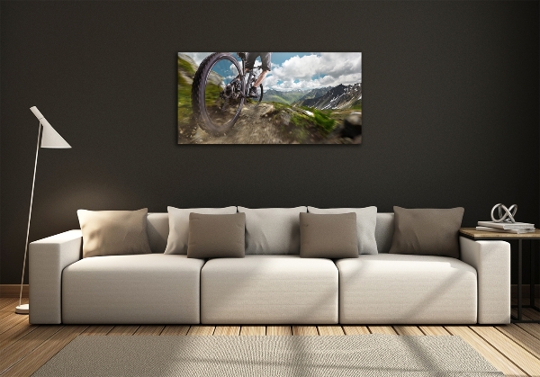 Wall art on glass Mountain biking