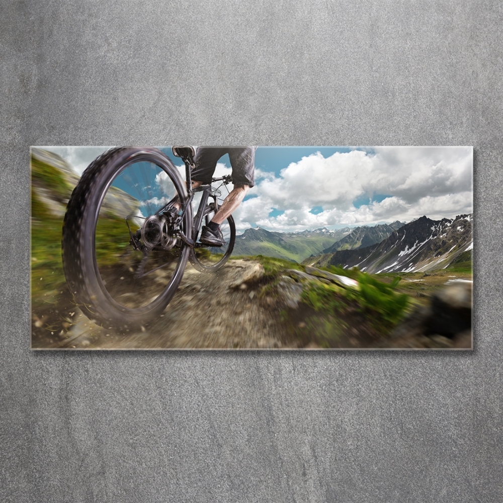 Wall art on glass Mountain biking