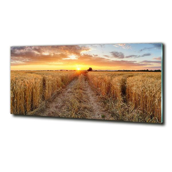 Wall art on glass Wheat field