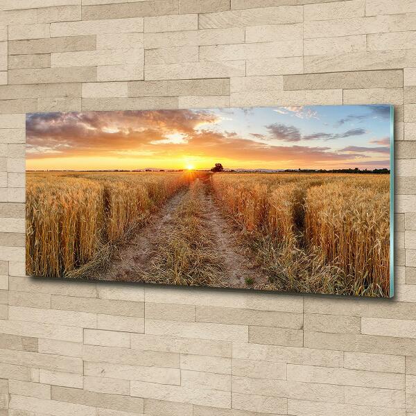 Wall art on glass Wheat field