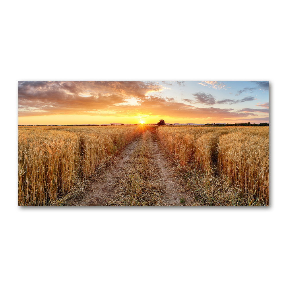 Wall art on glass Wheat field