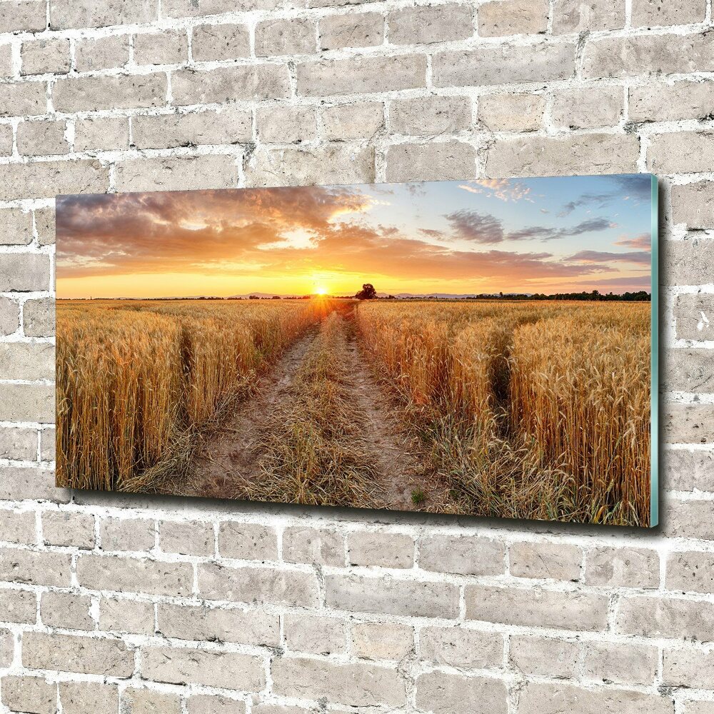 Wall art on glass Wheat field