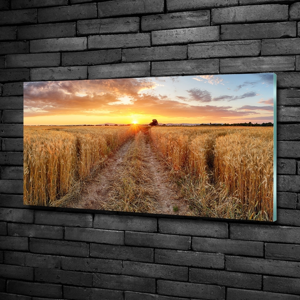 Wall art on glass Wheat field