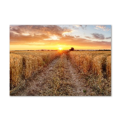 Wall art on glass Wheat field