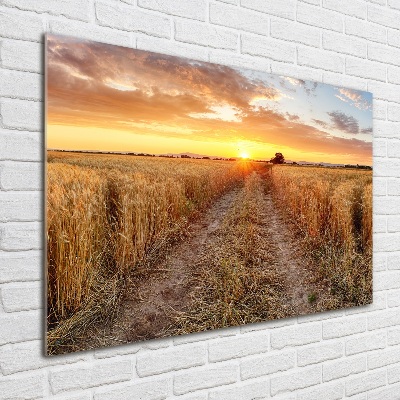 Wall art on glass Wheat field