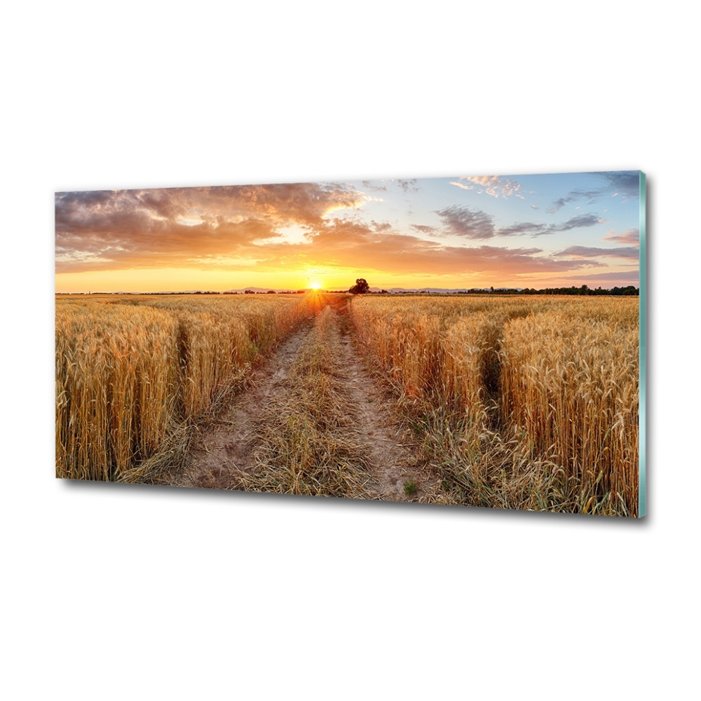 Wall art on glass Wheat field