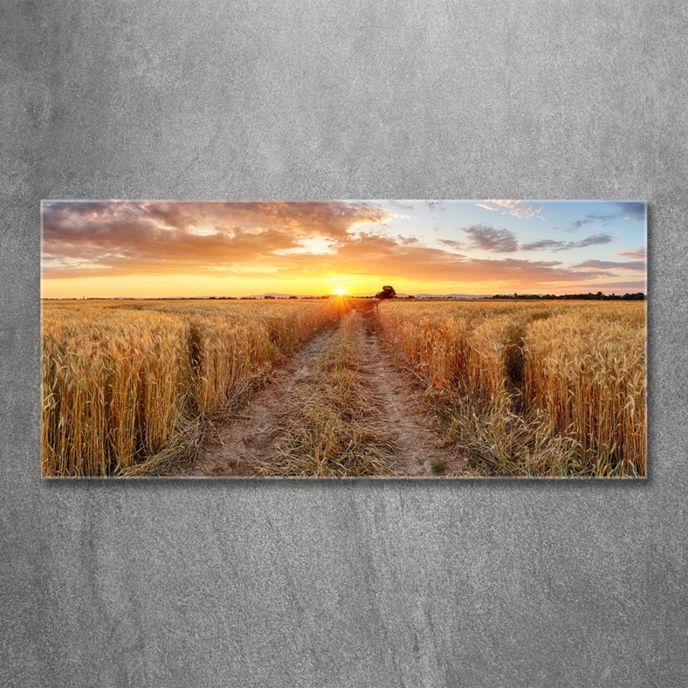 Wall art on glass Wheat field