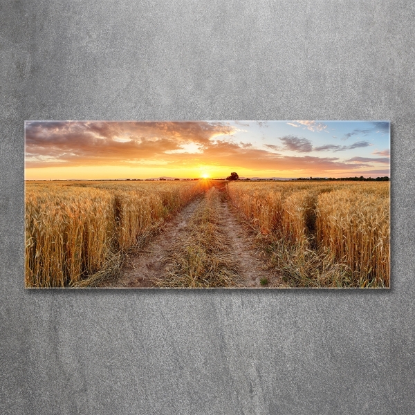 Wall art on glass Wheat field