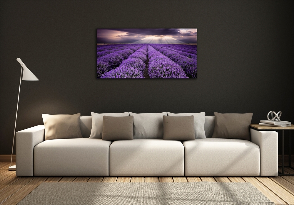 Glass art print Lavender field