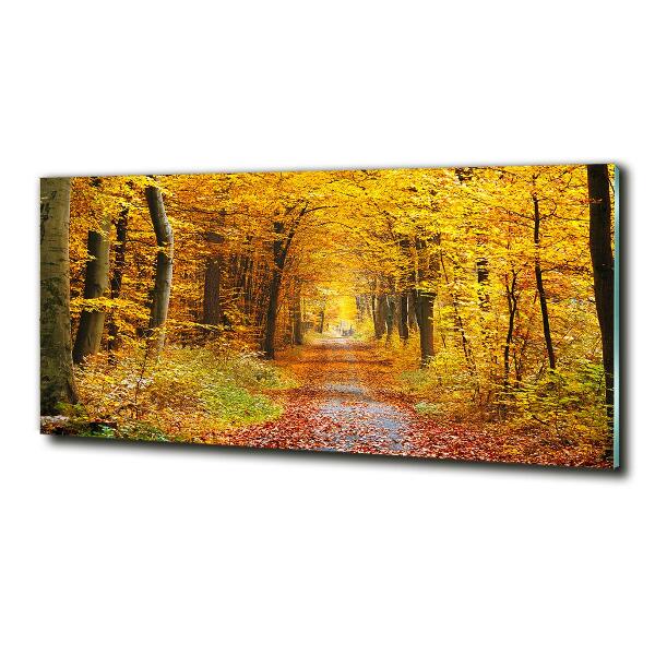 Wall art on glass Forest in autumn