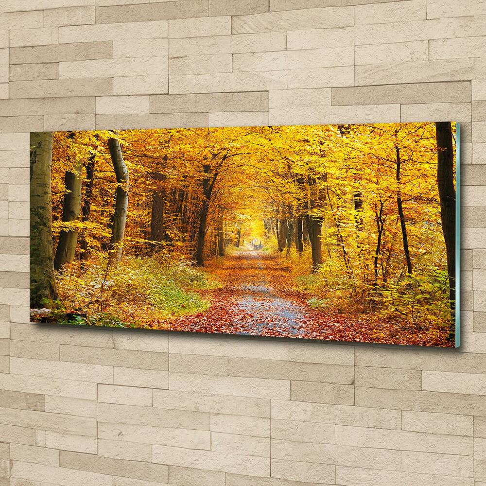 Wall art on glass Forest in autumn