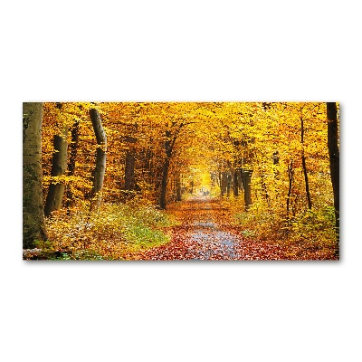 Wall art on glass Forest in autumn