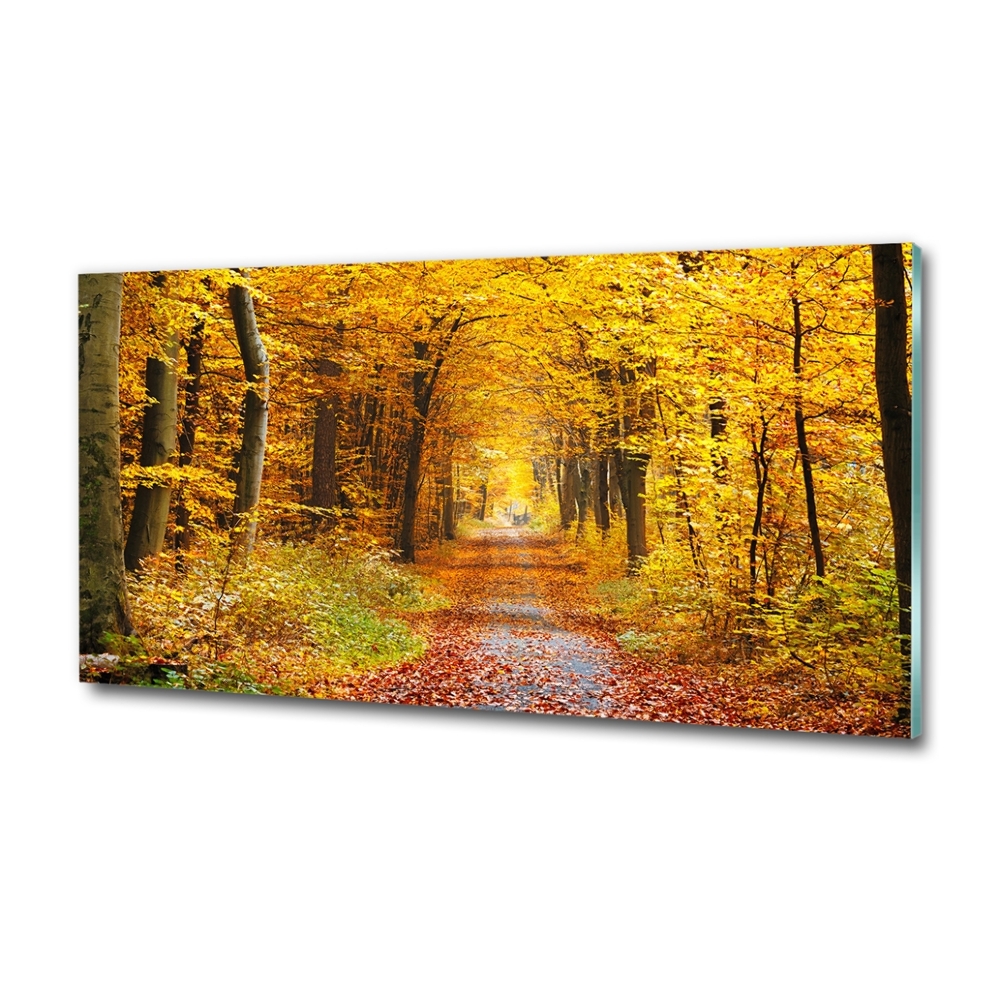 Wall art on glass Forest in autumn