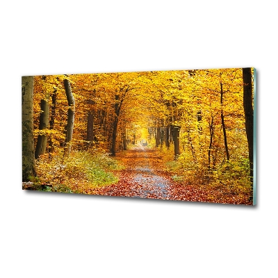 Wall art on glass Forest in autumn