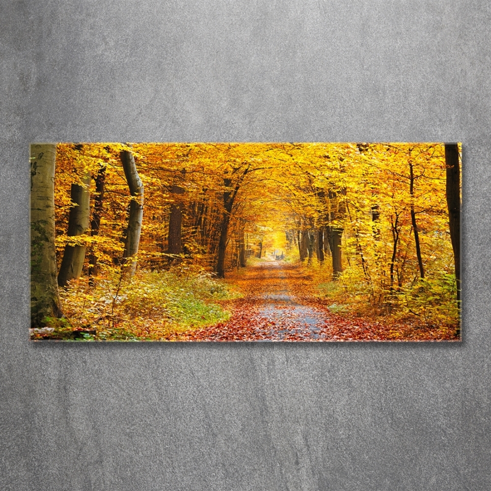 Wall art on glass Forest in autumn