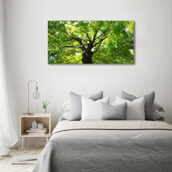 Glass art print Green forest