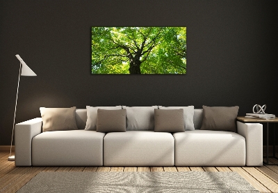 Glass art print Green forest