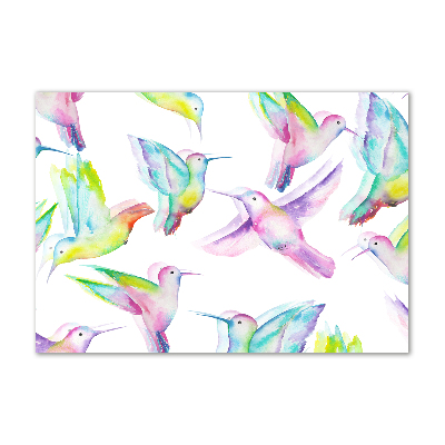 Photo printed on glass Hummingbird