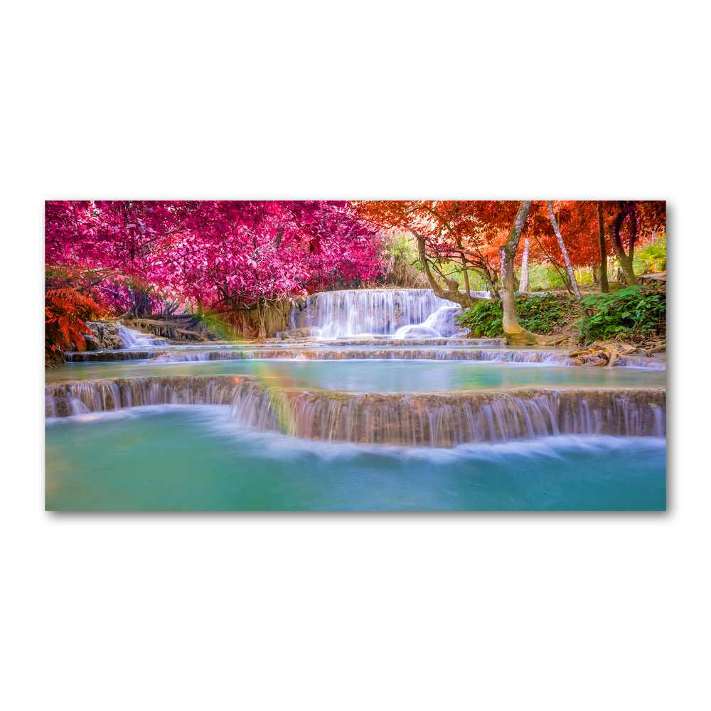 Wall art on glass Waterfall in the forest