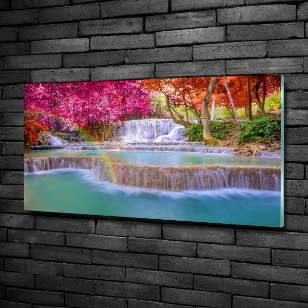 Wall art on glass Waterfall in the forest