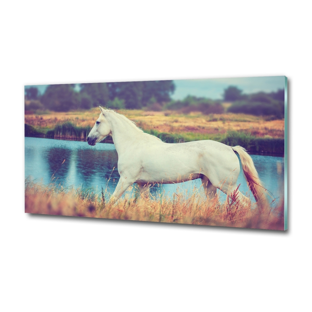 Glass wall art White horse lake