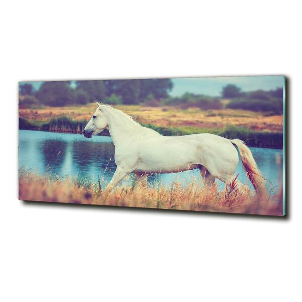 Glass wall art White horse lake