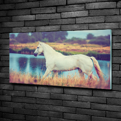 Glass wall art White horse lake