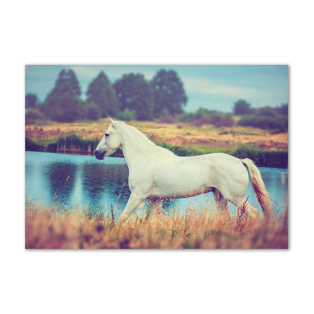 Glass wall art White horse lake