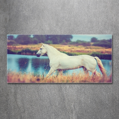 Glass wall art White horse lake