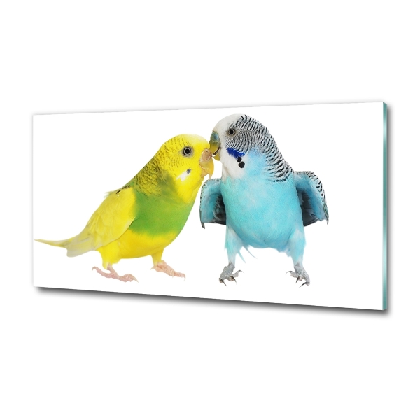 Wall art on glass Faded parakeets