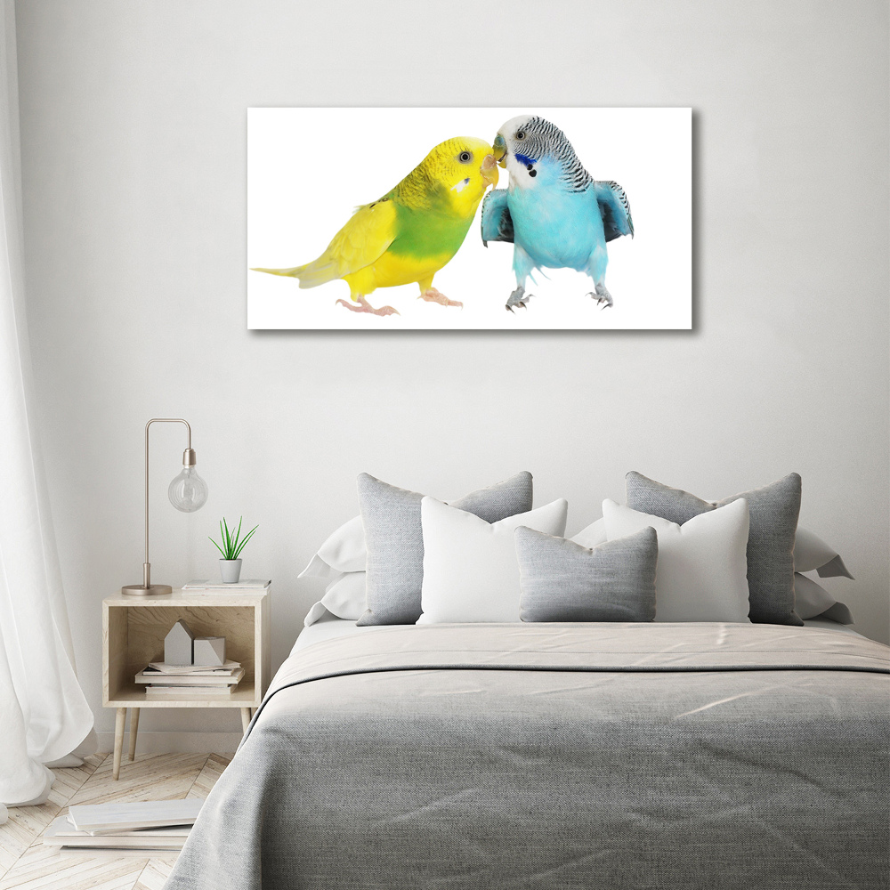 Wall art on glass Faded parakeets