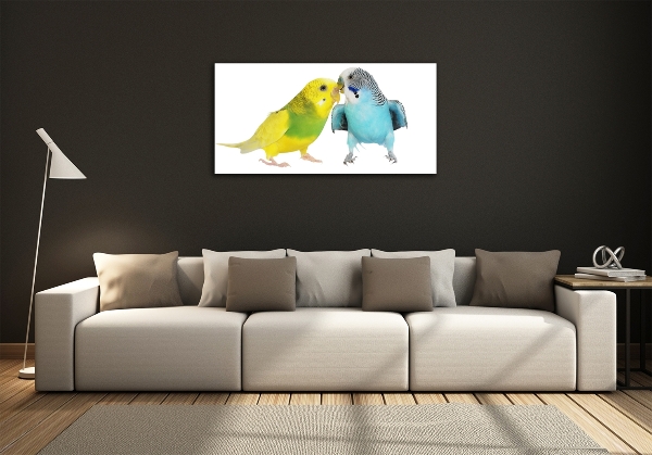 Wall art on glass Faded parakeets