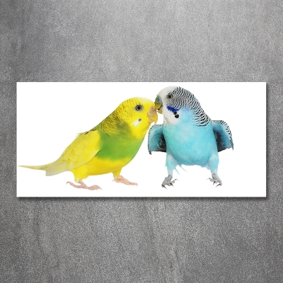 Wall art on glass Faded parakeets