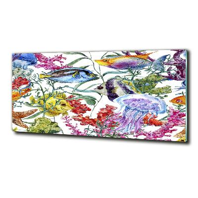 Glass picture wall art Coral reef