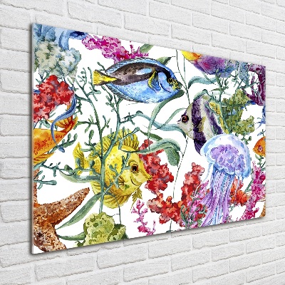 Glass picture wall art Coral reef