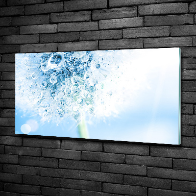 Glass art print Dandelion