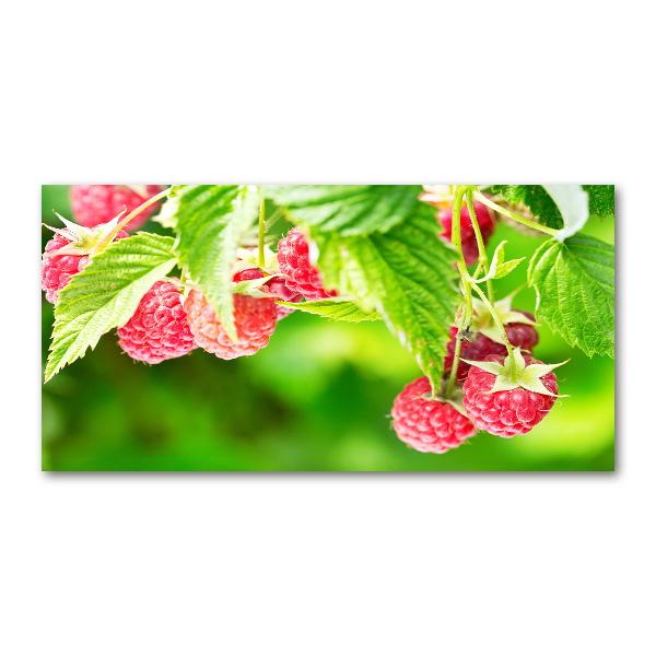 Glass wall art Raspberries in the garden