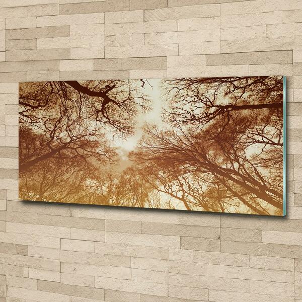 Wall art on glass Forest