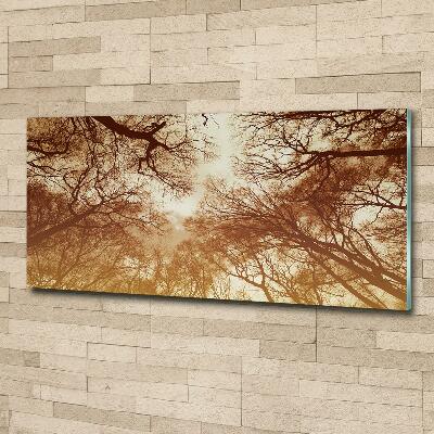 Wall art on glass Forest