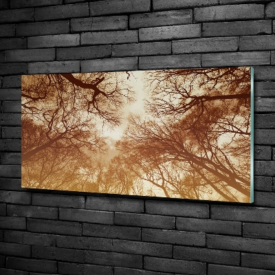 Wall art on glass Forest