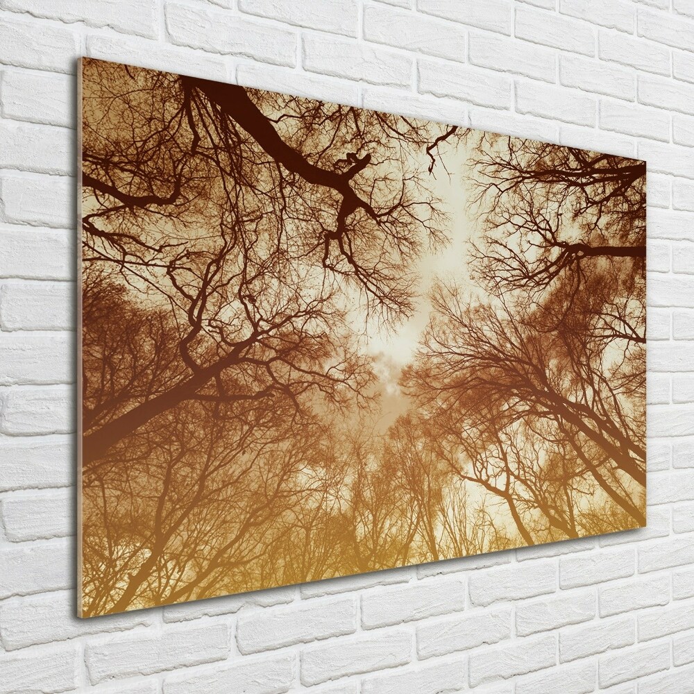 Wall art on glass Forest