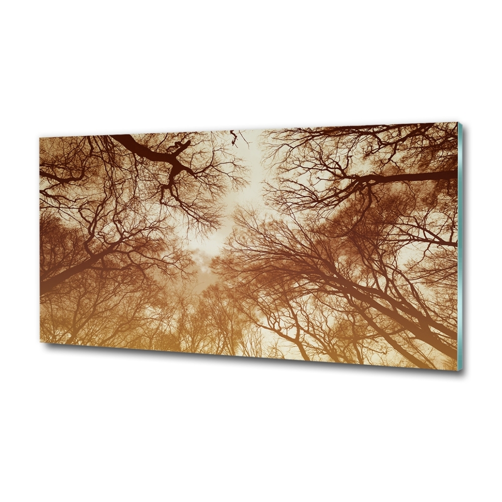 Wall art on glass Forest